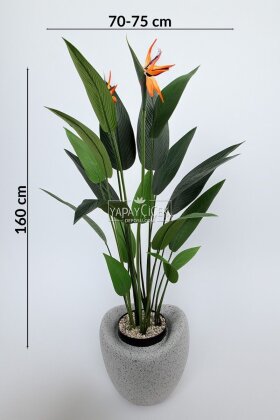 Yapay Ağaç Dinazor Yumurtası Saksıda Çiçekli King Starliçe Ağacı 160 cm Gri - Siyah - 4