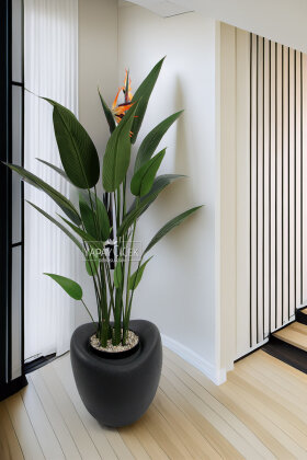 Yapay Ağaç Dinazor Yumurtası Saksıda Çiçekli King Starliçe Ağacı 160 cm Antrasit - Yapay Çiçek Deposu