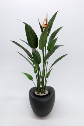 Yapay Ağaç Dinazor Yumurtası Saksıda Çiçekli King Starliçe Ağacı 160 cm Antrasit - 2