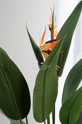 Yapay Ağaç Dinazor Yumurtası Saksıda Çiçekli King Starliçe Ağacı 160 cm Antrasit - 3