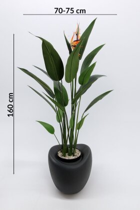 Yapay Ağaç Dinazor Yumurtası Saksıda Çiçekli King Starliçe Ağacı 160 cm Antrasit - 4