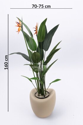 Yapay Ağaç Dinazor Yumurtası Saksıda Çiçekli King Starliçe Ağacı 160 cm Kapiçino - 4