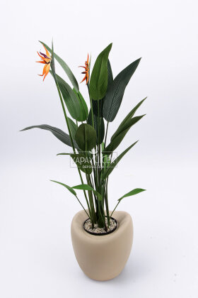 Yapay Ağaç Dinazor Yumurtası Saksıda Çiçekli King Starliçe Ağacı 160 cm Kapiçino - 2