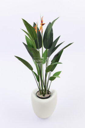 Yapay Ağaç Dinazor Yumurtası Saksıda Çiçekli King Starliçe Ağacı 160 cm Kırık Beyaz - 2