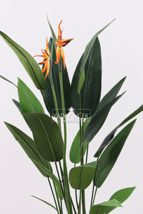 Yapay Ağaç Dinazor Yumurtası Saksıda Çiçekli King Starliçe Ağacı 160 cm Kırık Beyaz - 3