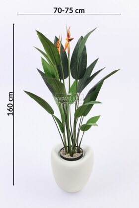 Yapay Ağaç Dinazor Yumurtası Saksıda Çiçekli King Starliçe Ağacı 160 cm Kırık Beyaz - 4