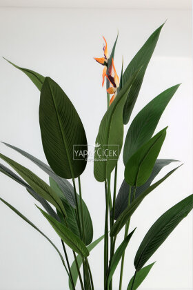 Yapay Ağaç Dinazor Yumurtası Saksıda Çiçekli King Starliçe Ağacı 160 cm Siyah - 3