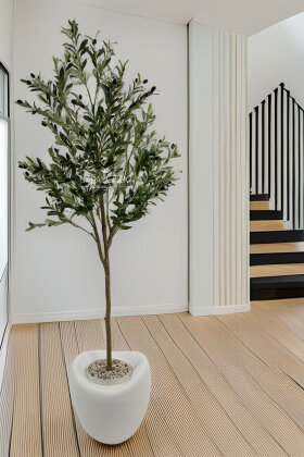 Yapay Ağaç Dinazor Yumurtası Saksıda Zeytin Ağacı 195 cm Andezit - Yapay Çiçek Deposu