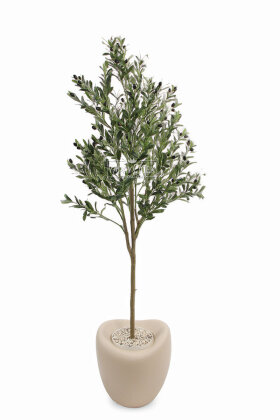 Yapay Ağaç Dinazor Yumurtası Saksıda Zeytin Ağacı 195 cm Kapiçino - 1