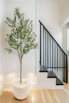 Yapay Ağaç Dinazor Yumurtası Saksıda Zeytin Ağacı 195 cm Kapiçino - Yapay Çiçek Deposu