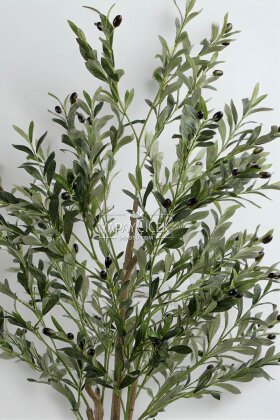 Yapay Ağaç Dinazor Yumurtası Saksıda Zeytin Ağacı 195 cm Siyah - 3