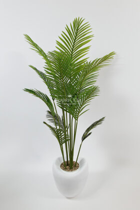 Yapay Ağaç Dinazor Yumurtası Saksıda Areka Palmiye Ağacı 205 cm Beyaz - 2