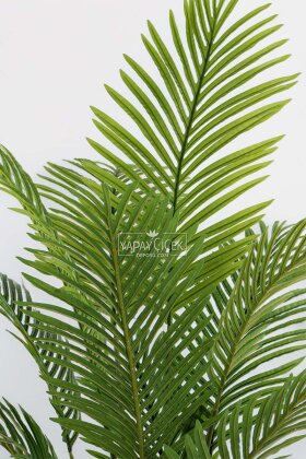 Yapay Ağaç Dinazor Yumurtası Saksıda Areka Palmiye Ağacı 205 cm Beyaz - 3