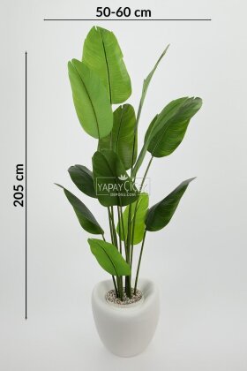 Yapay Ağaç Dinazor Yumurtası Saksıda 12 Yapraklı Starliçe Ağacı 205 cm Andezit - 4