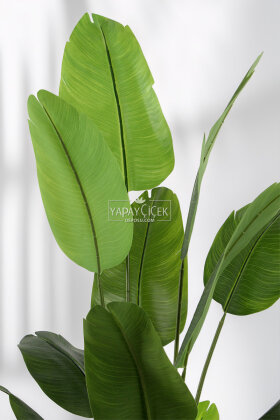 Yapay Ağaç Dinazor Yumurtası Saksıda 12 Yapraklı Starliçe Ağacı 205 cm Andezit - 3