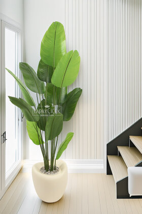 Yapay Ağaç Dinazor Yumurtası Saksıda 12 Yapraklı Starliçe Ağacı 205 cm Andezit - Yapay Çiçek Deposu