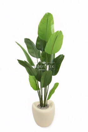 Yapay Ağaç Dinazor Yumurtası Saksıda 12 Yapraklı Starliçe Ağacı 205 cm Andezit - 2