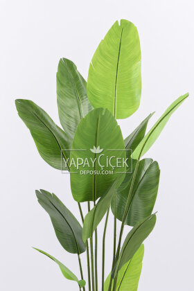 Yapay Ağaç Dinazor Yumurtası Saksıda 12 Yapraklı Starliçe Ağacı 205 cm Andezit - 3