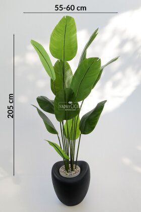 Yapay Ağaç Dinazor Yumurtası Saksıda 12 Yapraklı Starliçe Ağacı 205 cm Antrasit - 4