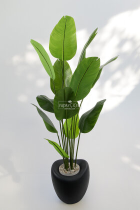 Yapay Ağaç Dinazor Yumurtası Saksıda 12 Yapraklı Starliçe Ağacı 205 cm Antrasit - 2