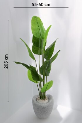 Yapay Ağaç Dinazor Yumurtası Saksıda 12 Yapraklı Starliçe Ağacı 205 cm Gri - Siyah - 4