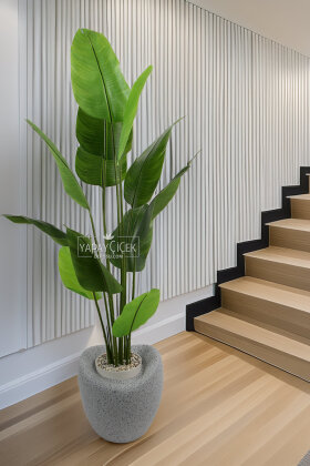 Yapay Ağaç Dinazor Yumurtası Saksıda 12 Yapraklı Starliçe Ağacı 205 cm Gri - Siyah - Yapay Çiçek Deposu