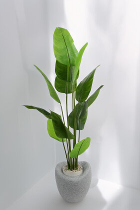 Yapay Ağaç Dinazor Yumurtası Saksıda 12 Yapraklı Starliçe Ağacı 205 cm Gri - Siyah - 2