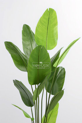 Yapay Ağaç Dinazor Yumurtası Saksıda 12 Yapraklı Starliçe Ağacı 205 cm Gri - Siyah - 3