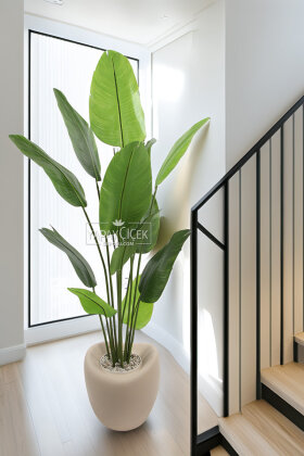 Yapay Ağaç Dinazor Yumurtası Saksıda 12 Yapraklı Starliçe Ağacı 205 cm Kapiçino - Yapay Çiçek Deposu