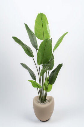 Yapay Ağaç Dinazor Yumurtası Saksıda 12 Yapraklı Starliçe Ağacı 205 cm Kapiçino - 2