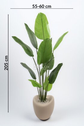 Yapay Ağaç Dinazor Yumurtası Saksıda 12 Yapraklı Starliçe Ağacı 205 cm Kapiçino - 4