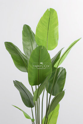 Yapay Ağaç Dinazor Yumurtası Saksıda 12 Yapraklı Starliçe Ağacı 205 cm Kiremit - 3