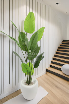 Yapay Ağaç Dinazor Yumurtası Saksıda 12 Yapraklı Starliçe Ağacı 205 cm Kırık Beyaz - Yapay Çiçek Deposu