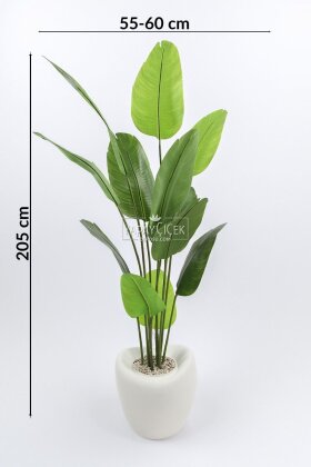 Yapay Ağaç Dinazor Yumurtası Saksıda 12 Yapraklı Starliçe Ağacı 205 cm Kırık Beyaz - 4