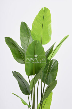 Yapay Ağaç Dinazor Yumurtası Saksıda 12 Yapraklı Starliçe Ağacı 205 cm Siyah - 3