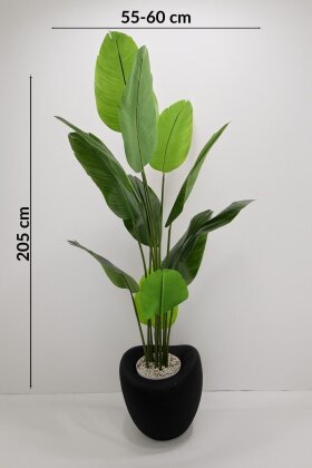 Yapay Ağaç Dinazor Yumurtası Saksıda 12 Yapraklı Starliçe Ağacı 205 cm Siyah - 4