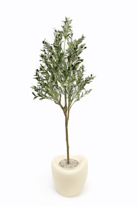 Yapay Ağaç Dinazor Yumurtası Saksıda Zeytin Ağacı 195 cm Krem - 2