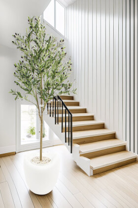 Yapay Ağaç Dinazor Yumurtası Saksıda Zeytin Ağacı 195 cm Kırık Beyaz - Yapay Çiçek Deposu