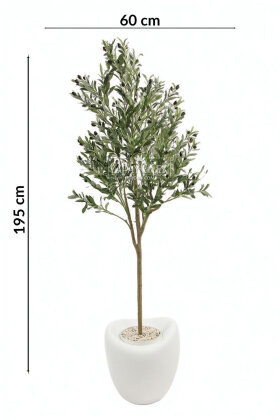 Yapay Ağaç Dinazor Yumurtası Saksıda Zeytin Ağacı 195 cm Beyaz - 4