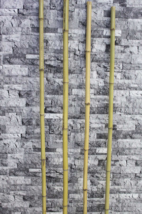 Doğal Gerçek Bambu 150 cm - Yapay Çiçek Deposu