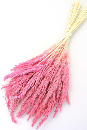 Kuru Çiçek Kuş Yemi Bitkisi 45 cm Pembe - Yapay Çiçek Deposu