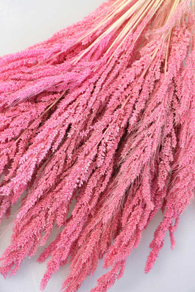 Kuru Çiçek Kuş Yemi Bitkisi 45 cm Pembe - 2