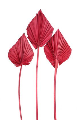 3lü Kuru Tropic Palm Spear Bordo - Yapay Çiçek Deposu