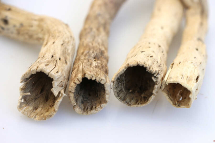 Tropikal Deniz Sahil Odunu Driftwood 10 Adet - 2