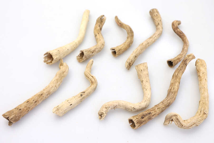 Tropikal Deniz Sahil Odunu Driftwood 10 Adet - 3