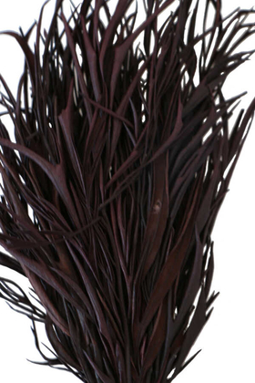 Dekoratif Kurutulmuş Kahverengi Mini Bitki 20 cm Gavellia Leaves - 2