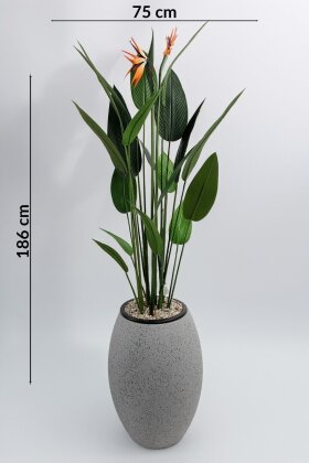 Yapay Ağaç Elips Saksıda Çiçekli King Starliçe Ağacı 186 cm Gri - Siyah - 4