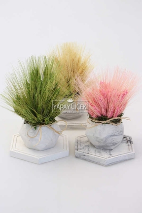 Tepsili Beton Saksıda Kuru Başak Tanzimi 3lü (Set-9) - 2