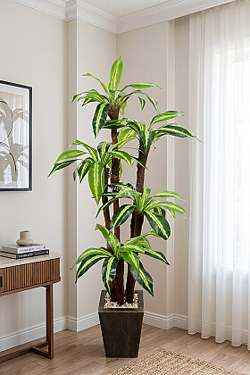 Eskitme Gold Saksıda Yapay 5 Gövdeli Terra Dracena Ağacı 155 cm Yeşil - Yapay Çiçek Deposu