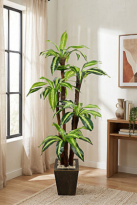 Eskitme Gold Saksıda Yapay 5 Gövdeli Terra Dracena Ağacı 155 cm Yeşil - 2